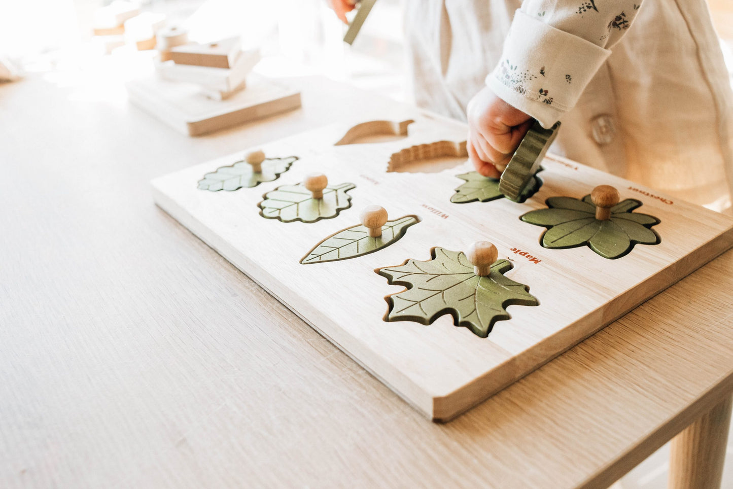 QToys Australia Leaf puzzle